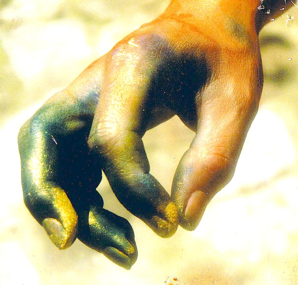 Christine-Hagn-Hand-goldfarben